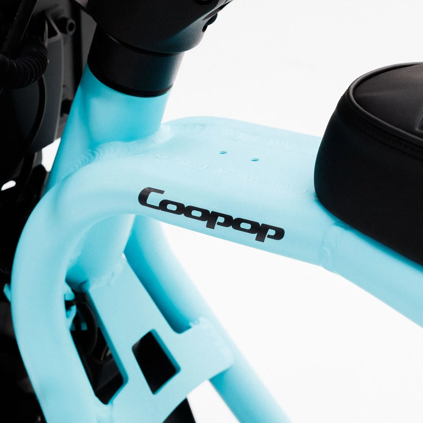 Detailaufnahme der Scheibenbremse am Coopop Rugged GS